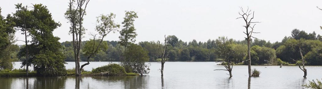 Camping Location vacances Puy du fou 2