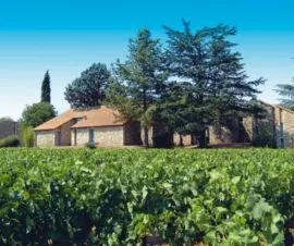 Domaine des Vans